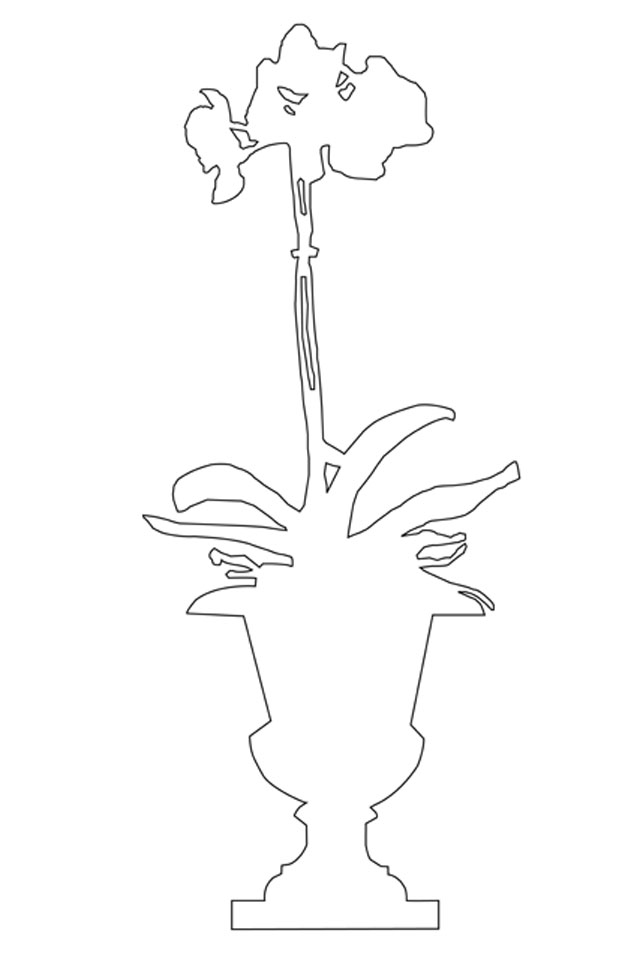 Silhouette, Pflanze, Orchidee