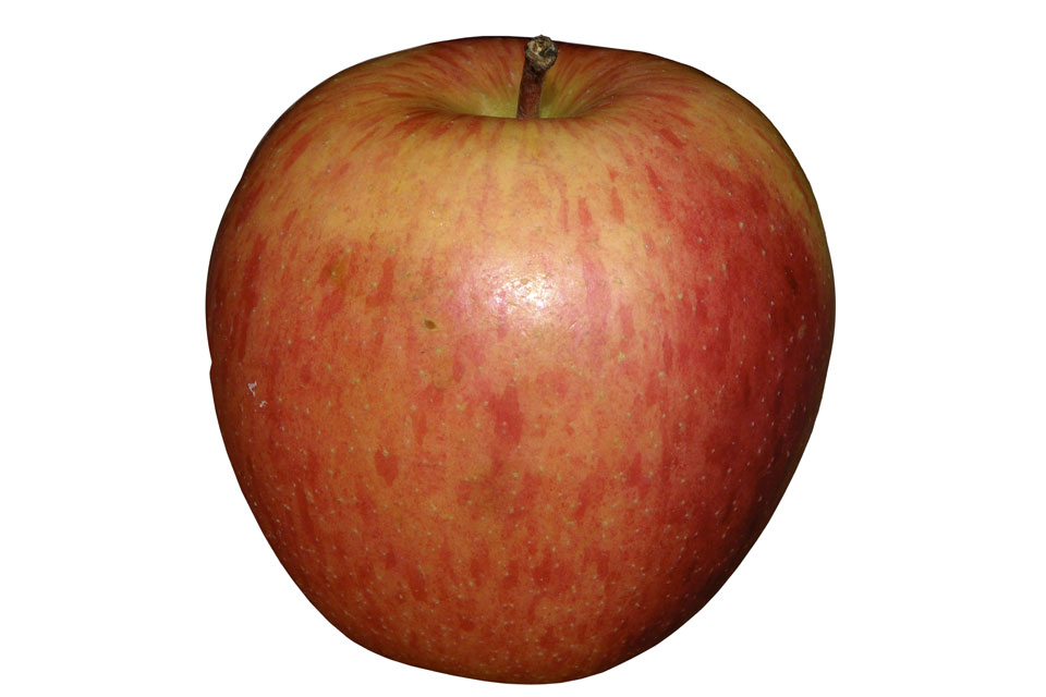 großer, runder, roter Apfel
